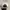 Thrasher Streetwear Skater Hat Pria white photo 3