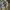 These yellow and blue Onitsuka Tiger Mexico 66 sneakers photo 8