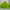 Bershka Gorpcore Casual Puffer Jacket Pria Green