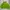 Bershka Gorpcore Casual Puffer jacket Pria green photo 3