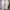 New Balance Casual Sneakers Pria tan photo 4