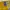 Sportswear Jersey Pria yellow photo 4