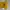 Sportswear Jersey Pria yellow photo 1