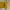 Sportswear Jersey Pria Yellow