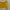 Sportswear Jersey Pria yellow photo 2