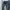 Minimalist Casual Skinny jeans Wanita navy photo 1