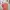Arnold Palmer Streetwear T-shirt Pria multicolor photo 4