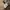 Sportswear Casual Track jacket Pria tan brown photo 8