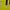 Streetwear Sportswear Shirt Wanita multicolor yellow photo 3