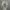 Cosplay Futurist Hoody Wanita gray photo 1