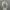 Cosplay Futurist Hoody Wanita Gray