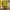 Figure Mainan SpongeBob SquarePants My SpongeBob Nickelodeon