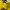 Pancoat Luxury Casual Sweater Pria yellow photo 2