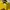 Pancoat Luxury Casual Sweater Pria Yellow
