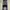 Dickies Cargo Double Knee Wd4901 Size 36 Regular Fit