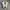 Converse 70s Low White photo 5