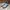 Adidas Casual Sneakers Pria tan cream photo 3