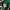 Kappa Sportswear Track jacket Pria green black photo 7