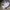 Adidas Vintage Sportswear Windbreaker Pria white photo 2