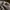 Yeezy 500 photo 4