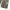 GAP Gorpcore Casual Other Pria green photo 6
