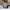 Nike Casual Sneakers Pria white black photo 7