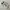 Nike Casual Sneakers Pria white black photo 3