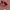 Gentle Monster- OPEN NEGO photo 2