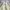 Partimento Canvas Sherpa Outter Jacket size XXL photo 7