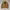Andersson Bell Vintage Leather jacket Pria yellow photo 3