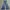Longpants Cargo Jeans