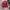 Y2K Tracktop Jacket Tribal Gaer