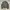 Japanese brand Vintage Casual Denim jacket Pria green photo 6