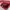 Fjällräven Foldsack No. 1 G-1000 Red Backpack Original photo 9