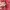 Fjällräven Foldsack No. 1 G-1000 Red Backpack Original photo 6