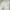 TMJ cargo pants mens vintage Mede korea photo 9