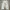 TMJ cargo pants mens vintage Mede korea photo 2