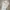 TMJ cargo pants mens vintage Mede korea photo 7