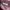 Streetwear Casual Casual shirt Pria burgundy brown photo 8