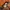 Topi Vintage Trucker Salmon River photo 6