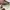 Louis Vuitton Luxury Casual Bag Pria white tan photo 4