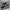 Adidas Sportswear Sneakers Kids white black photo 2