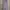 Muslim Maxi dress Wanita multicolor photo 2