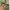 jorts pants cargo camo / army  photo 2