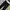 Giordano Work Pants Chinos Black W 32 photo 2