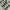 jorts pants cargo camo / army photo 4