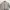 Magellan Kemeja Outdoor Sailing Gear Size XL  photo 4