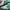 Adidas Indie Casual Sneakers Pria white green photo 2