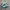 Adidas Indie Casual Sneakers Pria white green photo 1