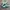Adidas Indie Casual Sneakers Pria White Green